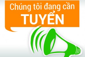 Tuyển dụng Kế Toán Tổng Hợp